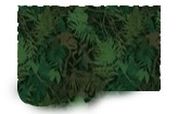 Pintura Amazônia