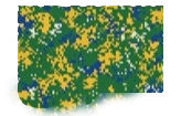 Pintura Brasil