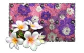 Pintura Flowers