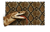 Pintura Python