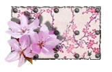 Pintura Sakura