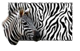 Pintura Savanna