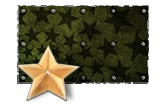 Pintura Star